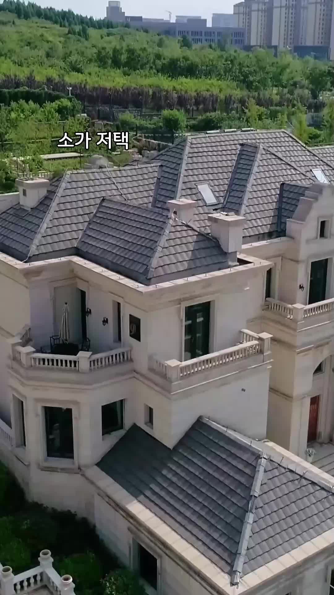 41회