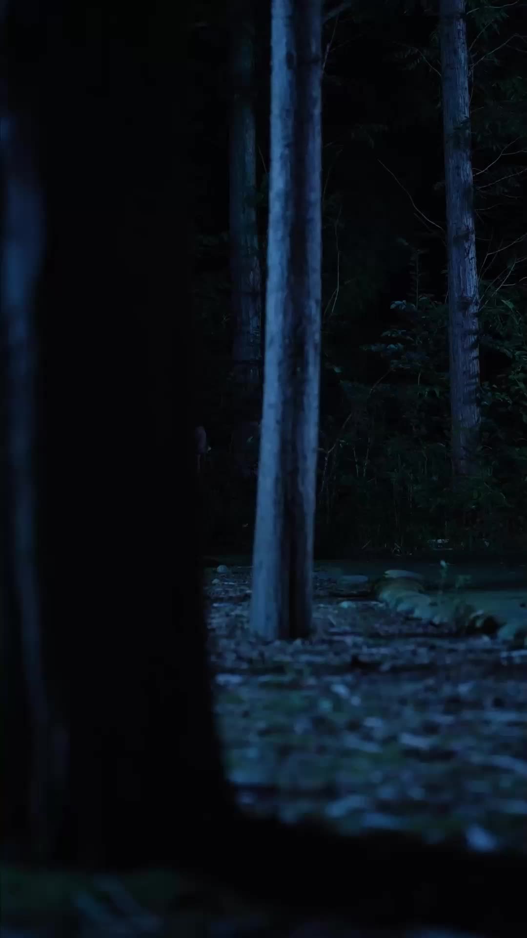 Anak Kembar dari Langit EP.1