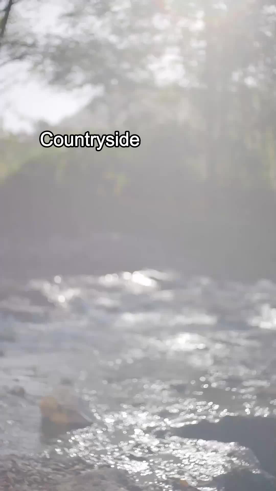 The Soft Spot of a Billionaire EP.1