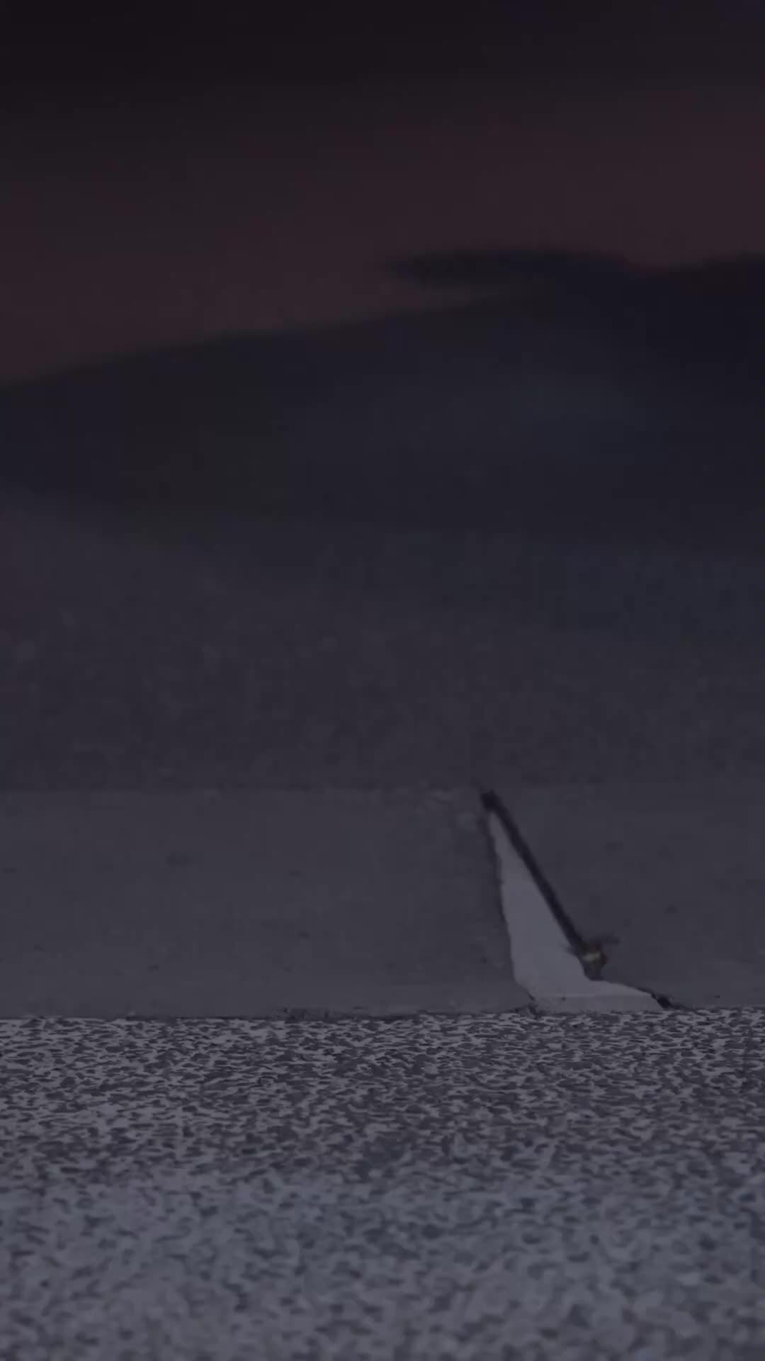 Épisode 55