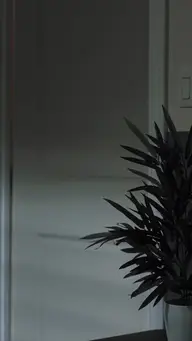 Spoiled by My CEO Husband EP.1