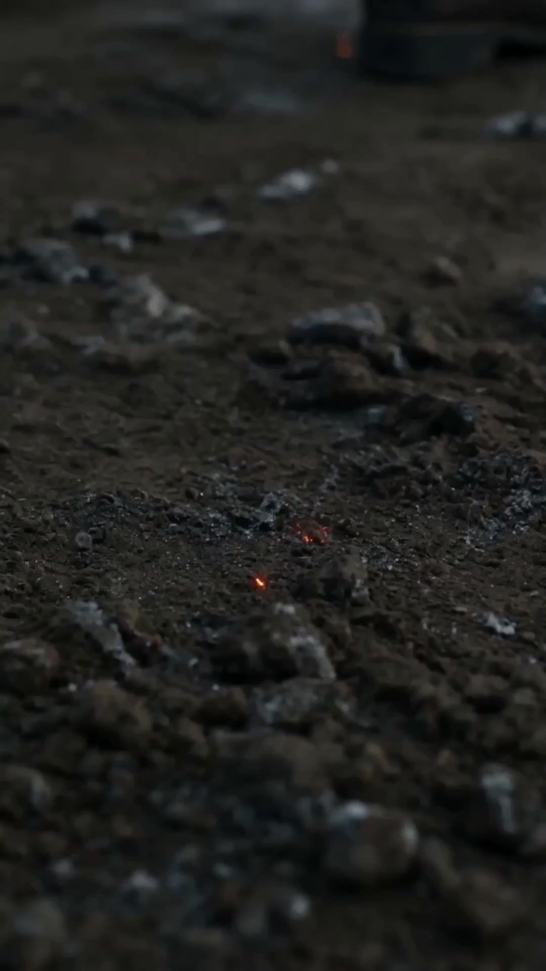 Episode 24