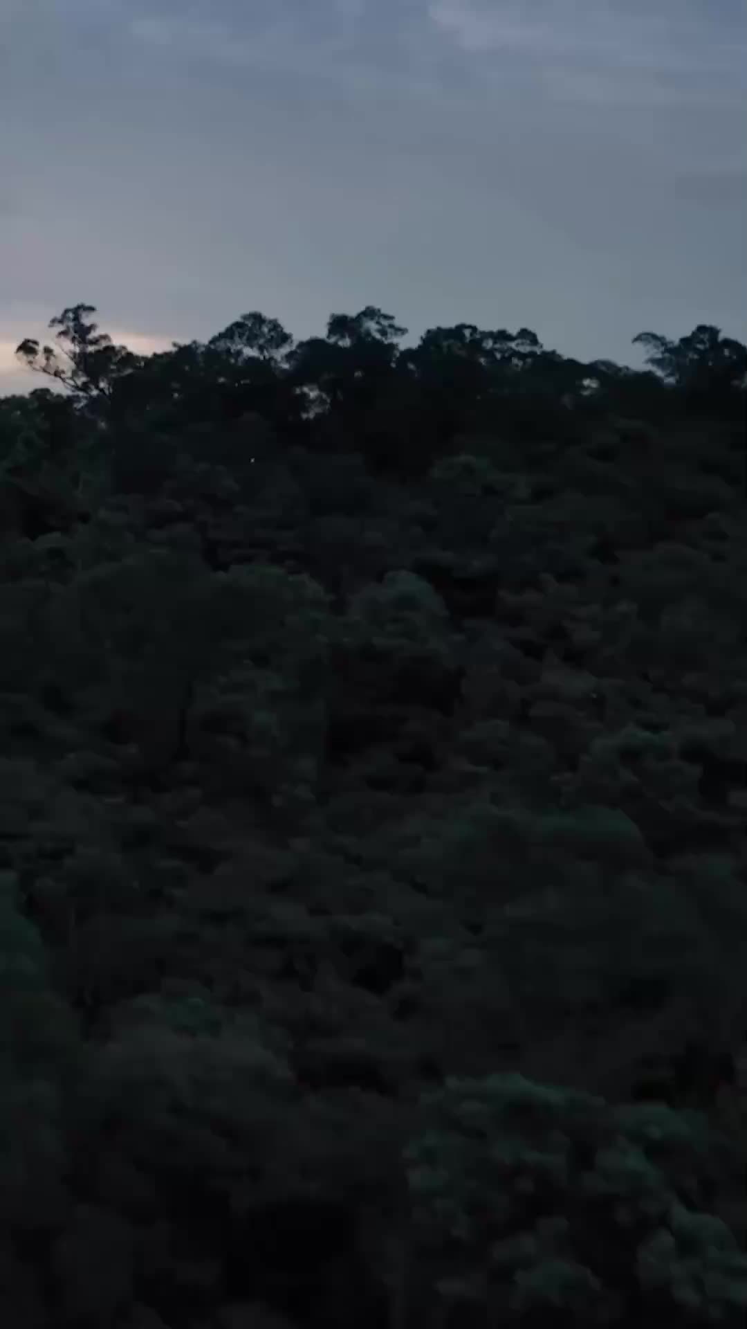 Capítulo 42