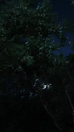 Episode 37