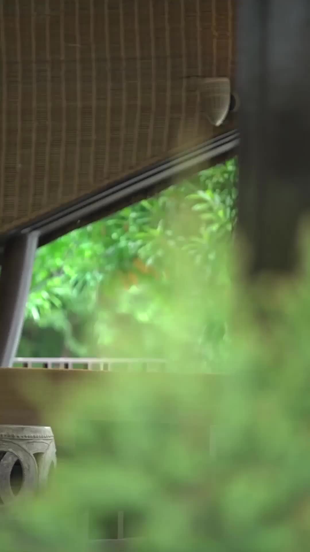 ตอนที่ 43