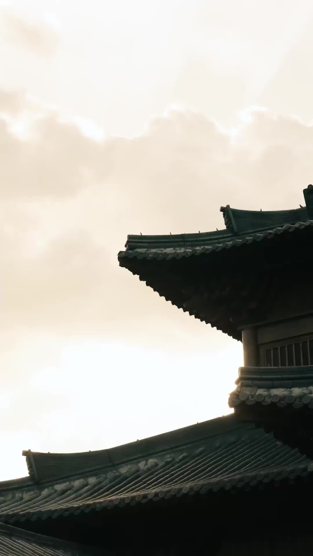 第75集