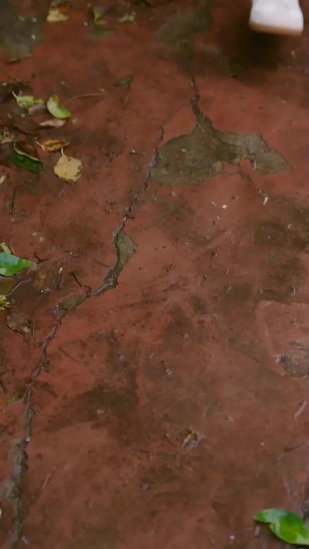 Episode 29
