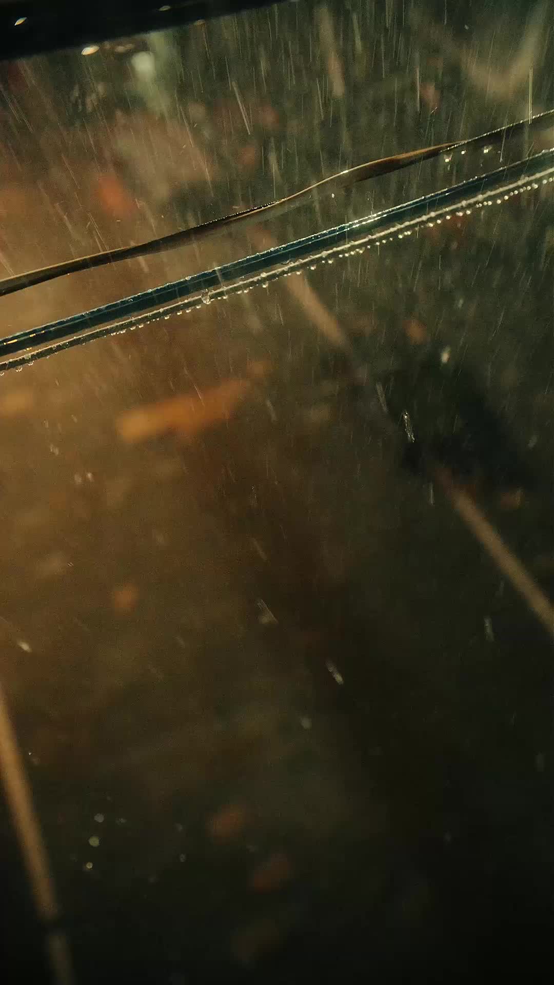 钱途无量 EP.1