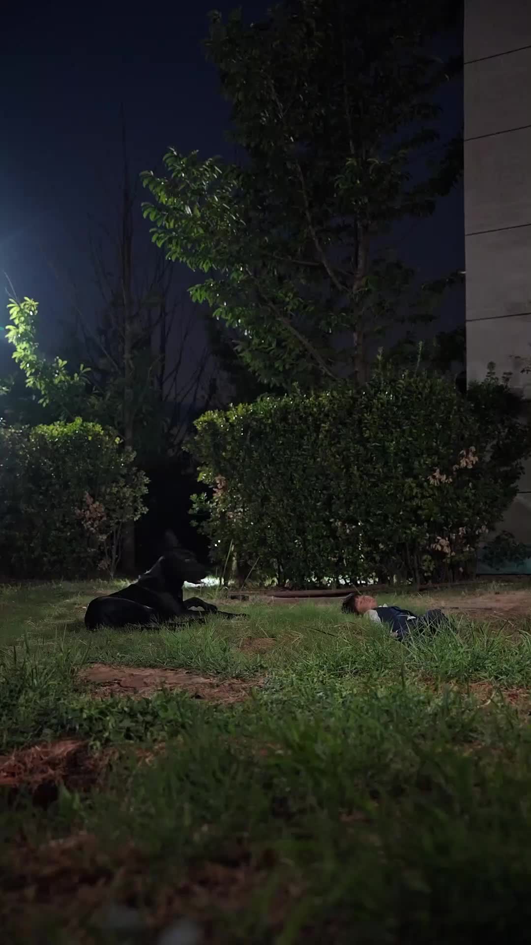 第55集
