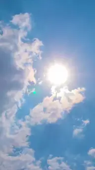 Consentida del Señor Ferrer EP.7