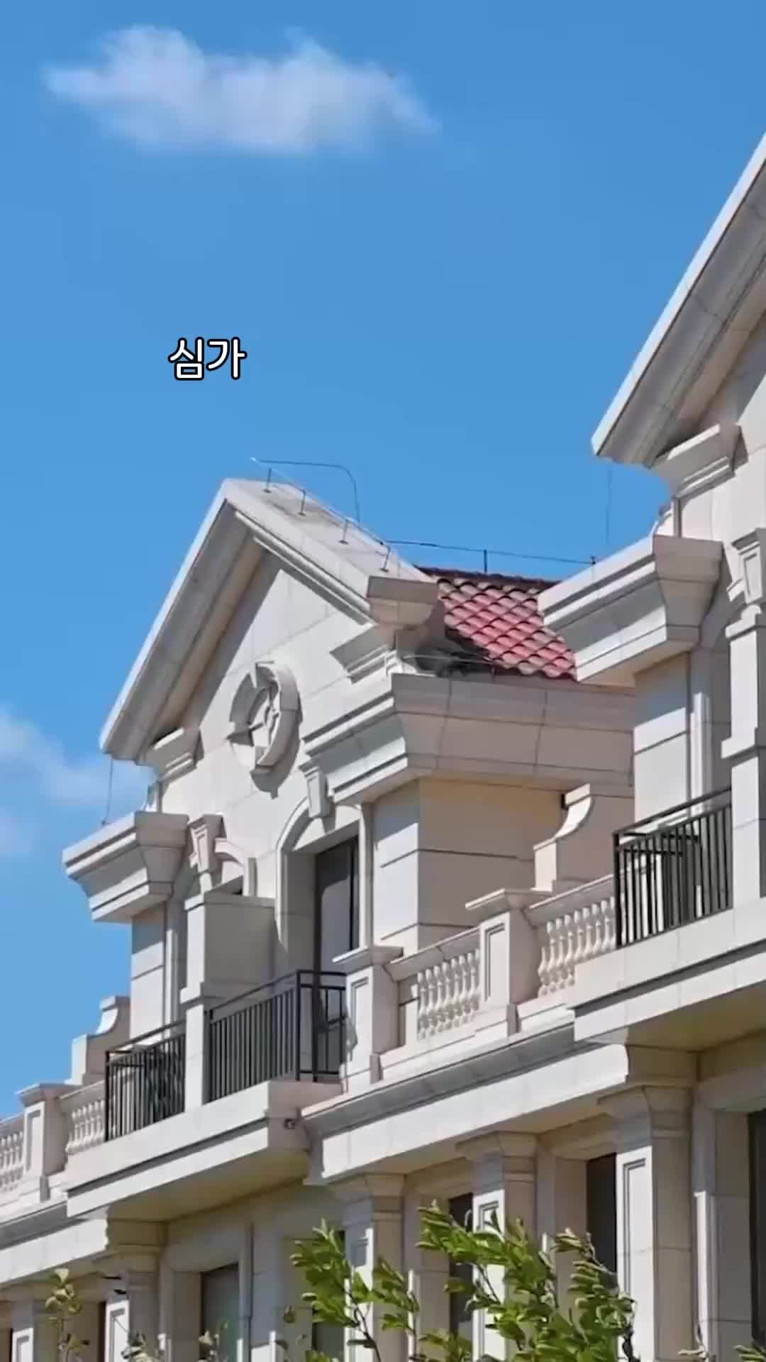 41회