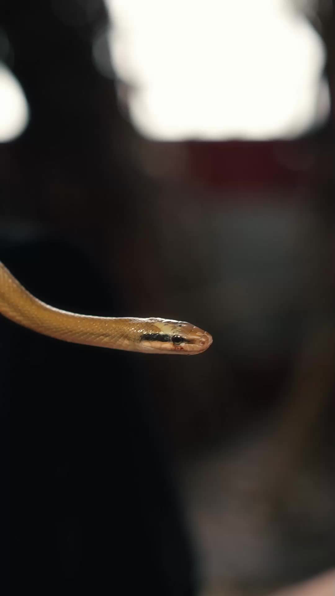 ตอนที่ 18