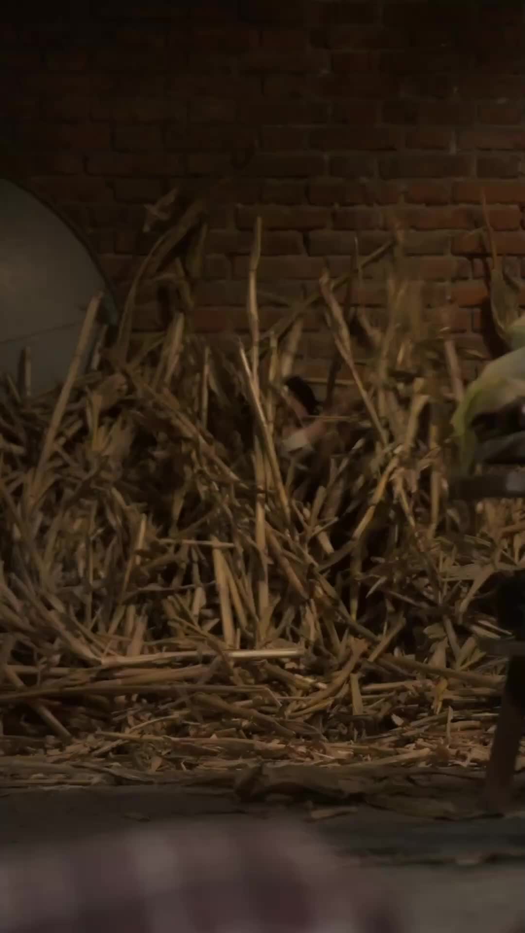 她的最後證詞 EP.4