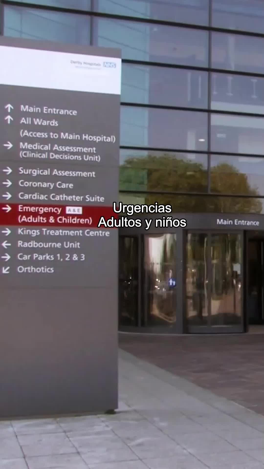 Capítulo 29