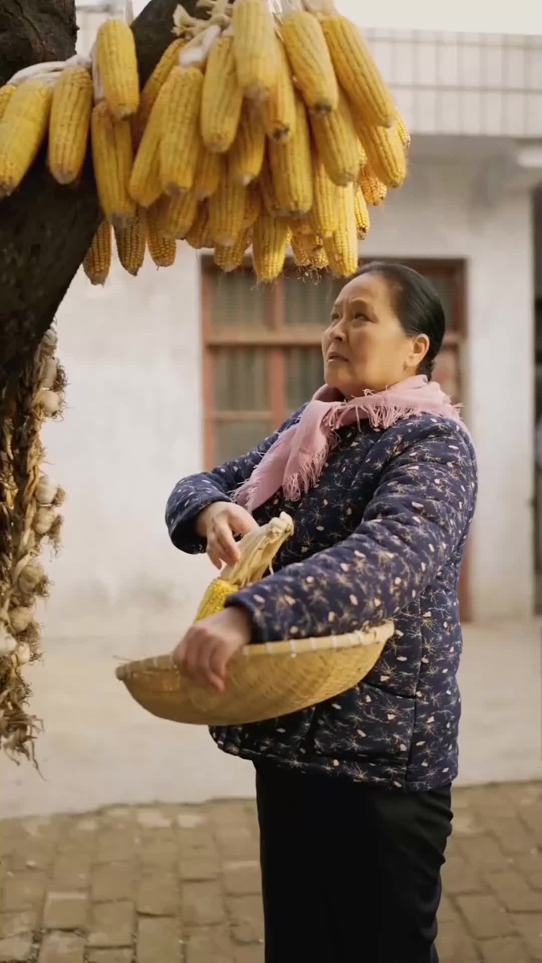 Épisode 14