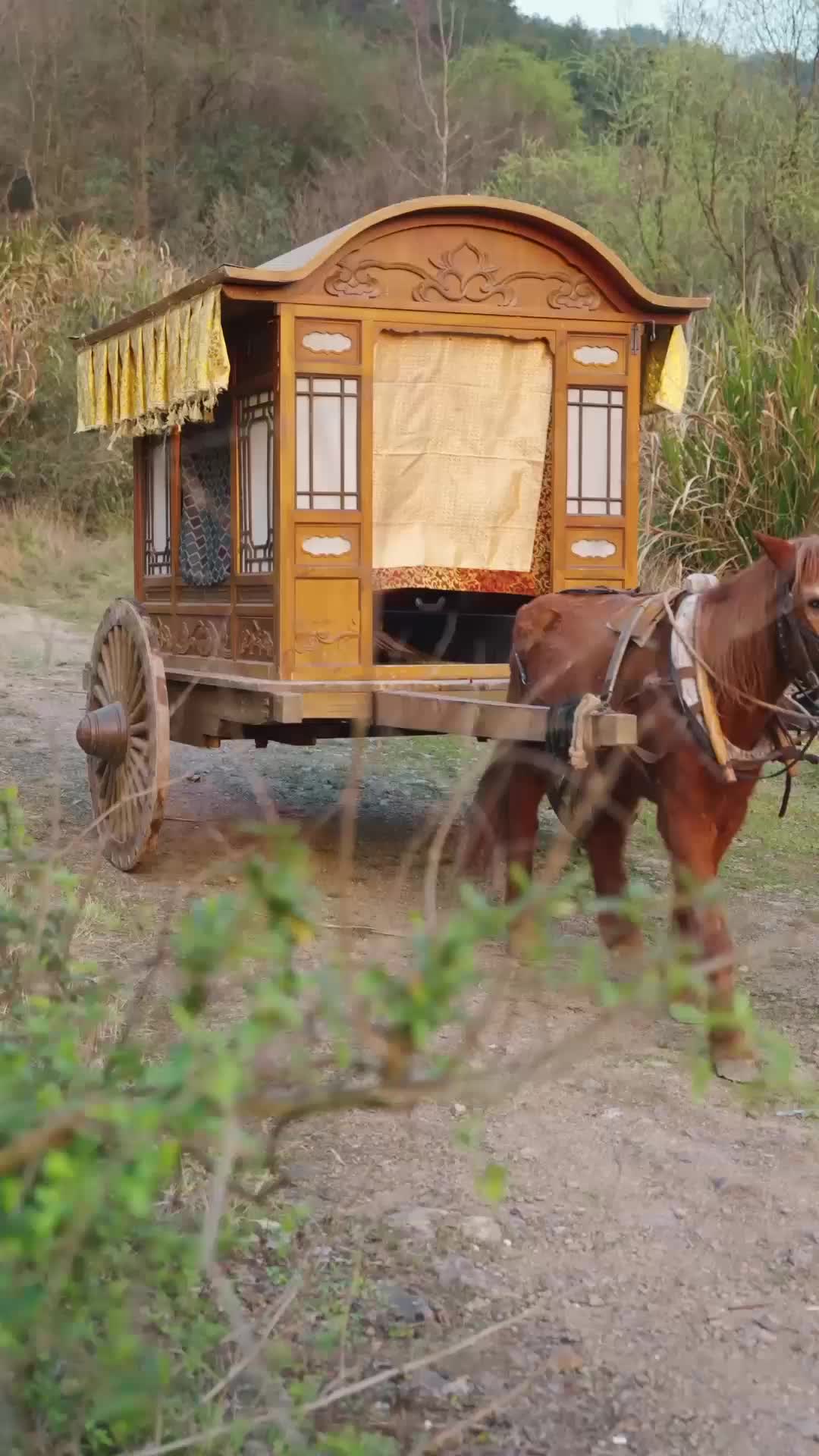 夺嫡之蟒鸣朝阳 EP.12