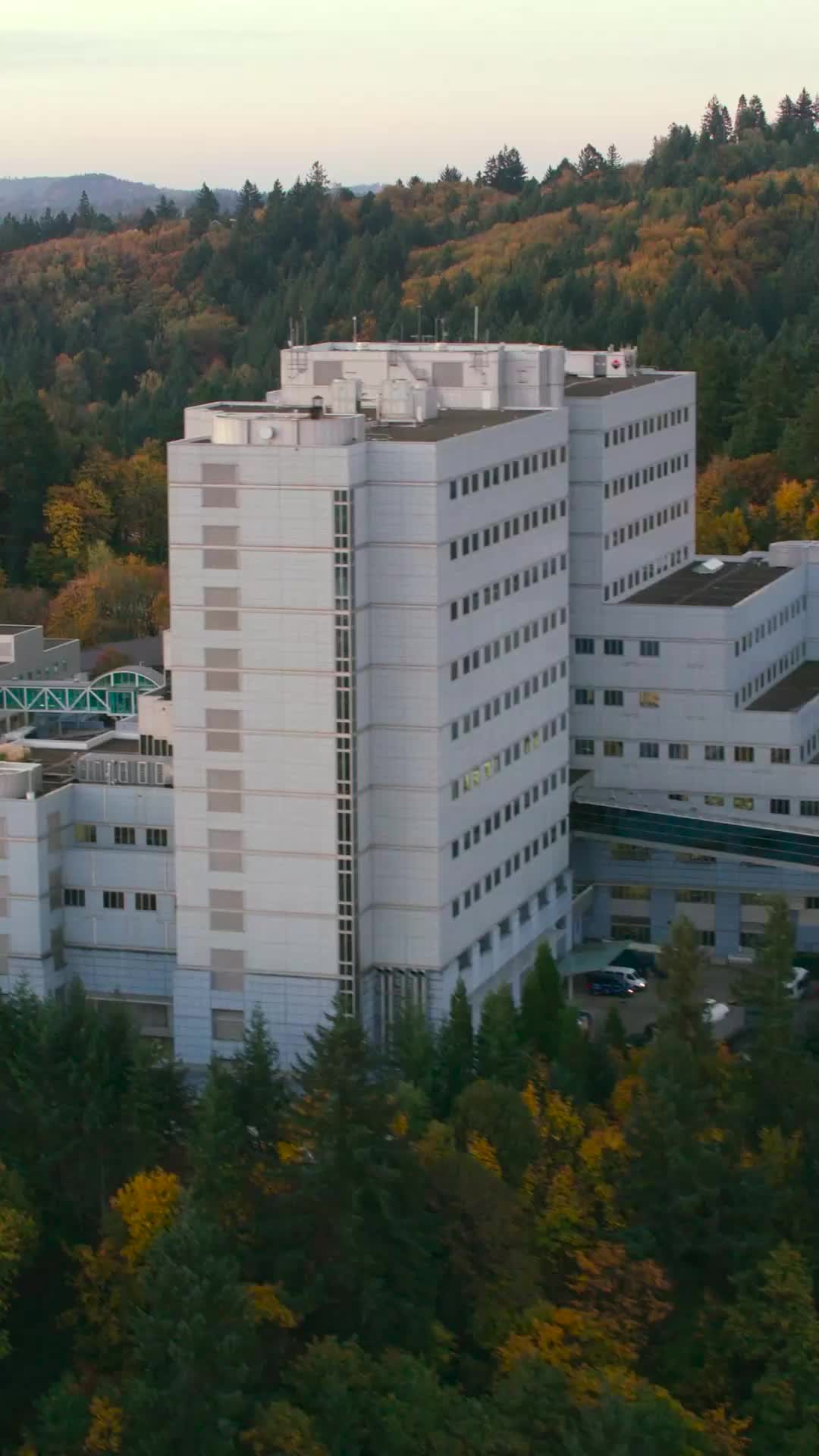 43. Bölüm