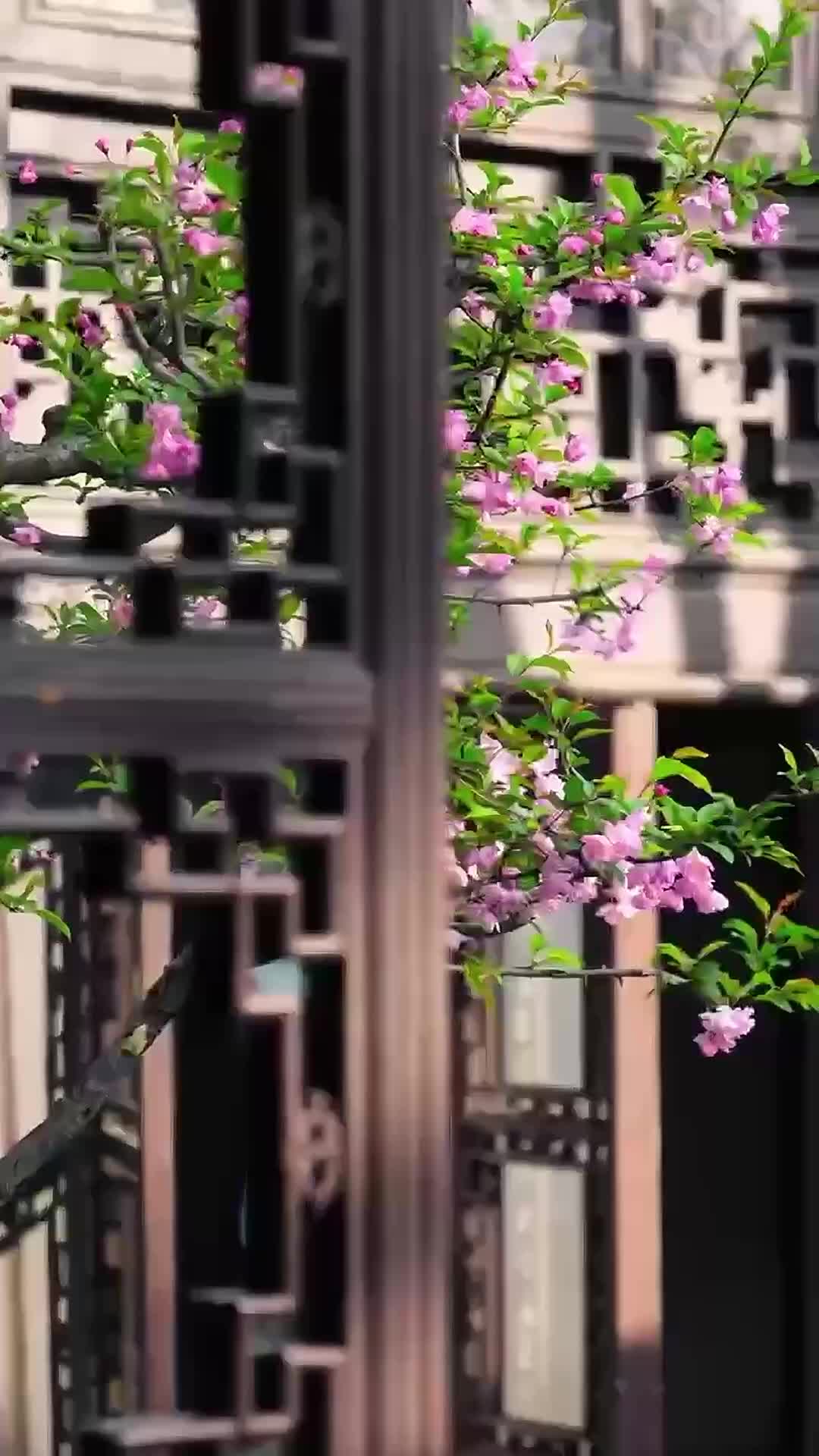 Tập 13