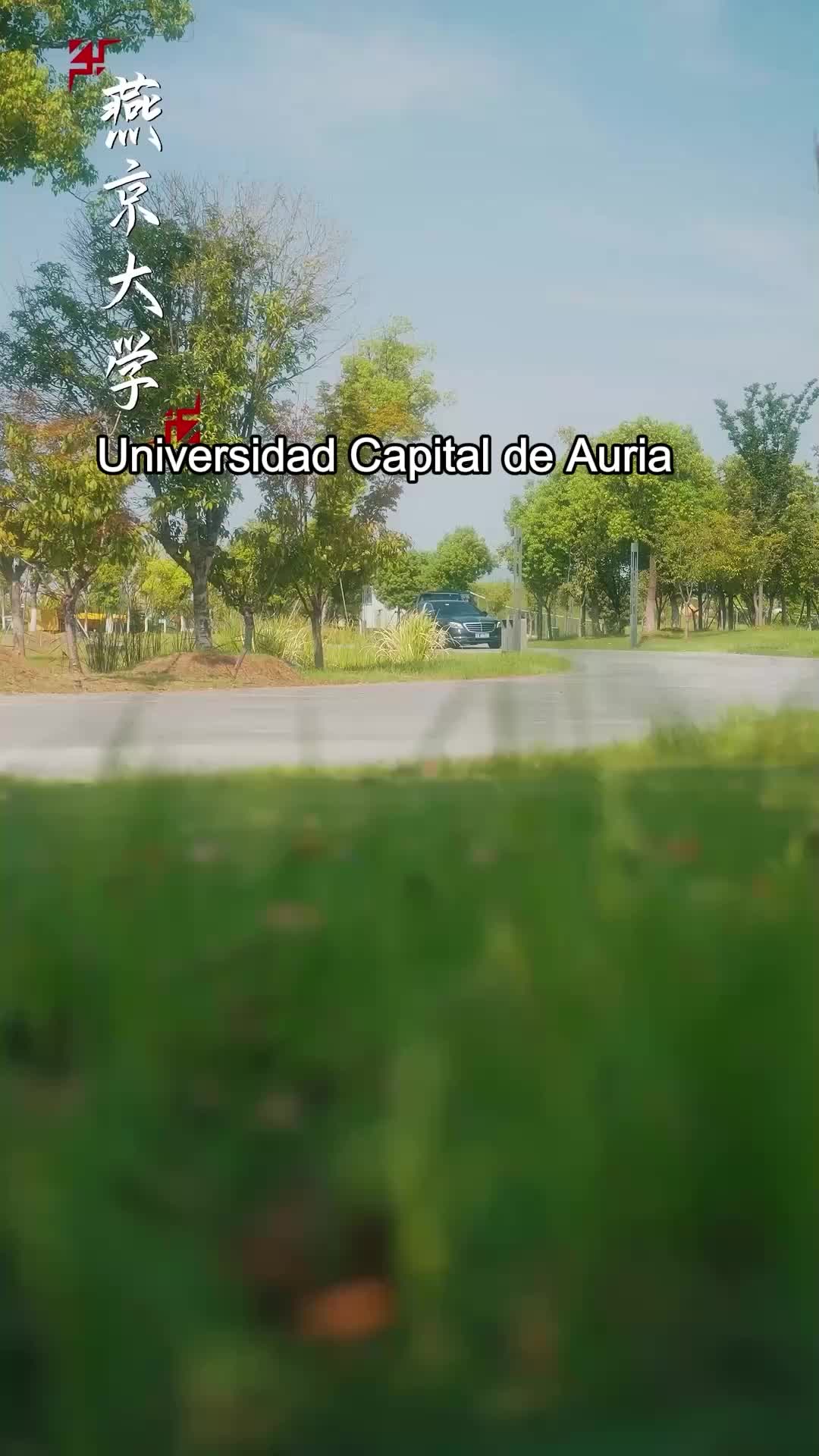 Capítulo 15