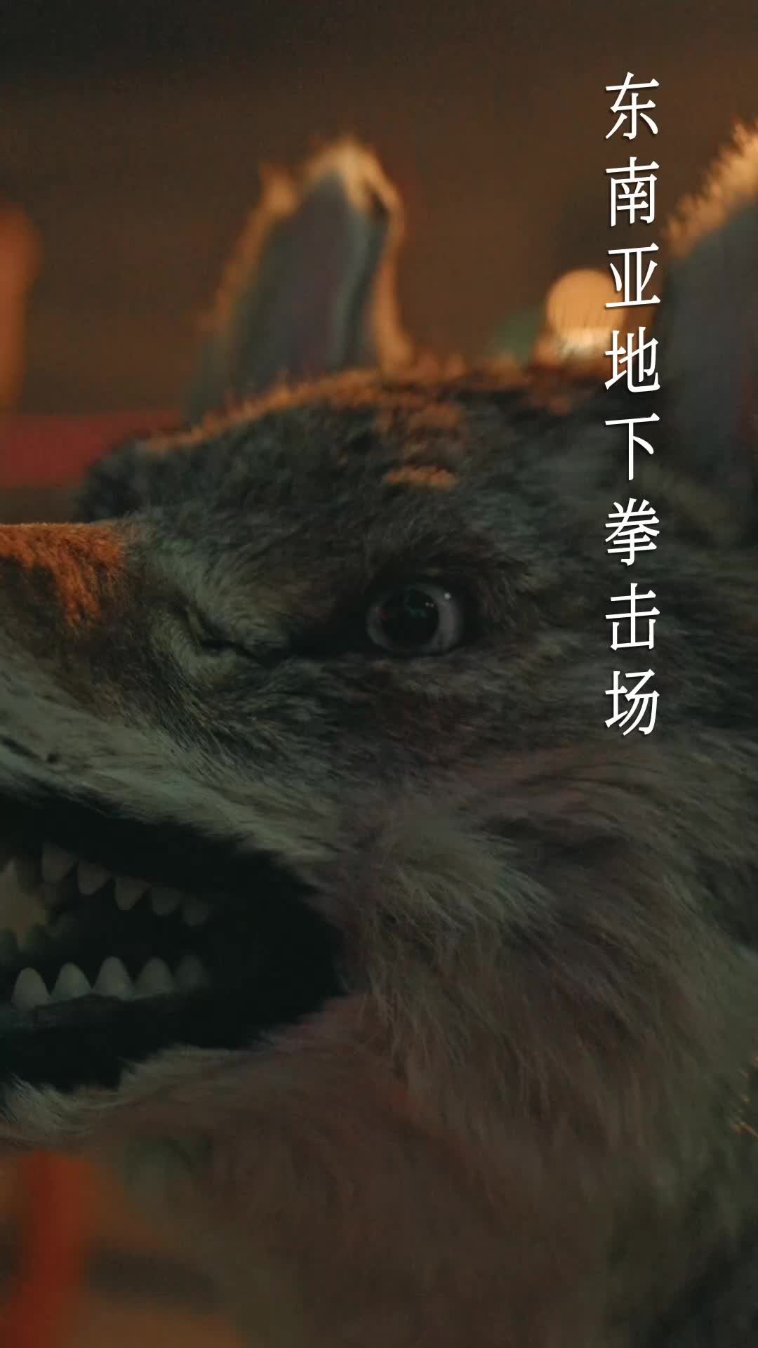 华丽的缰绳 EP.1