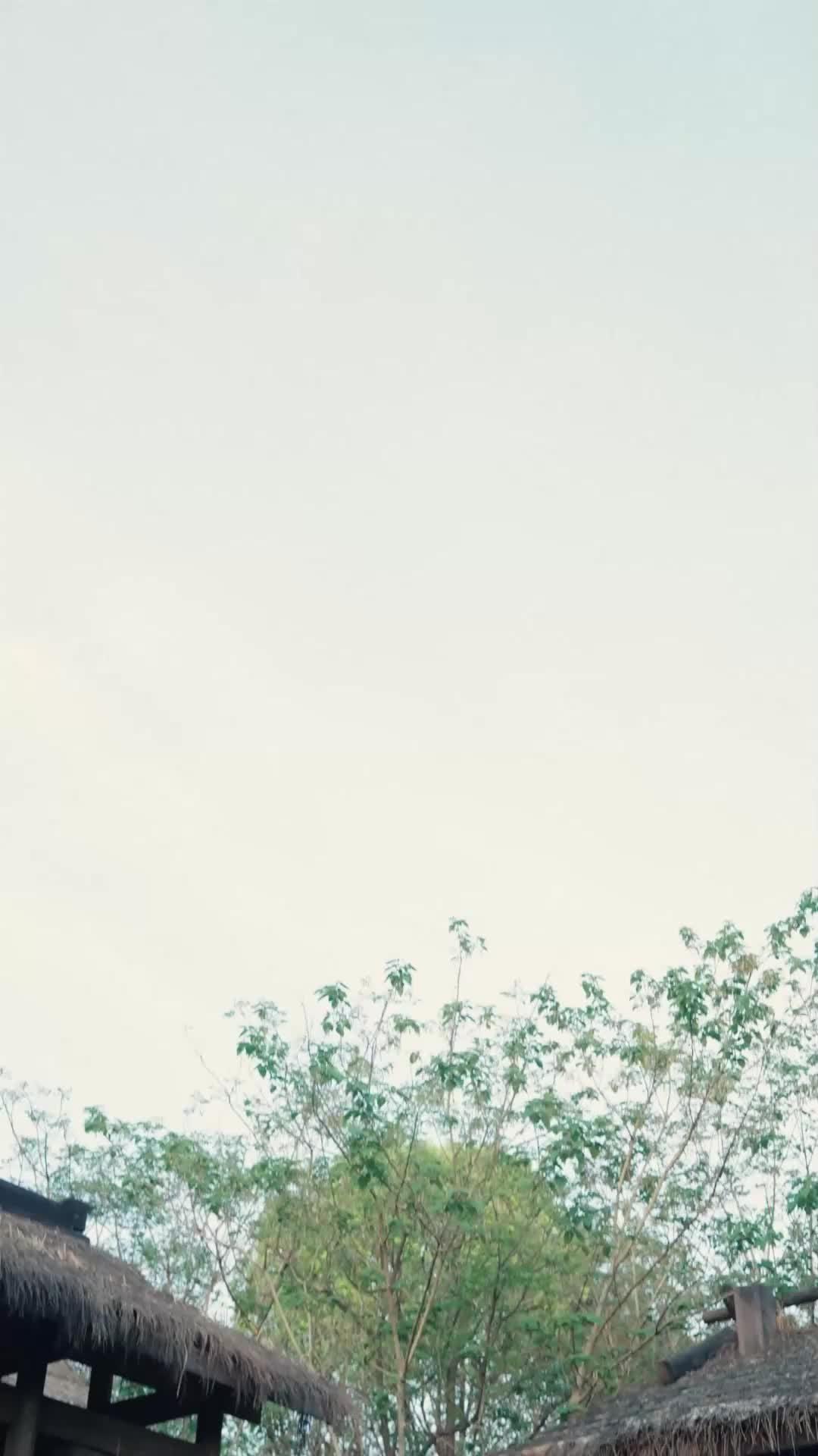 막내가, 좀 특별합니다 EP.10