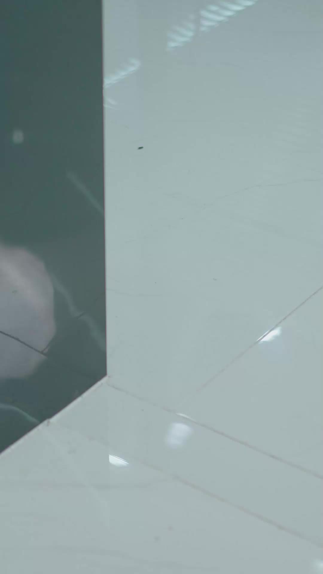 ตอนที่ 43