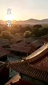 Tập 31