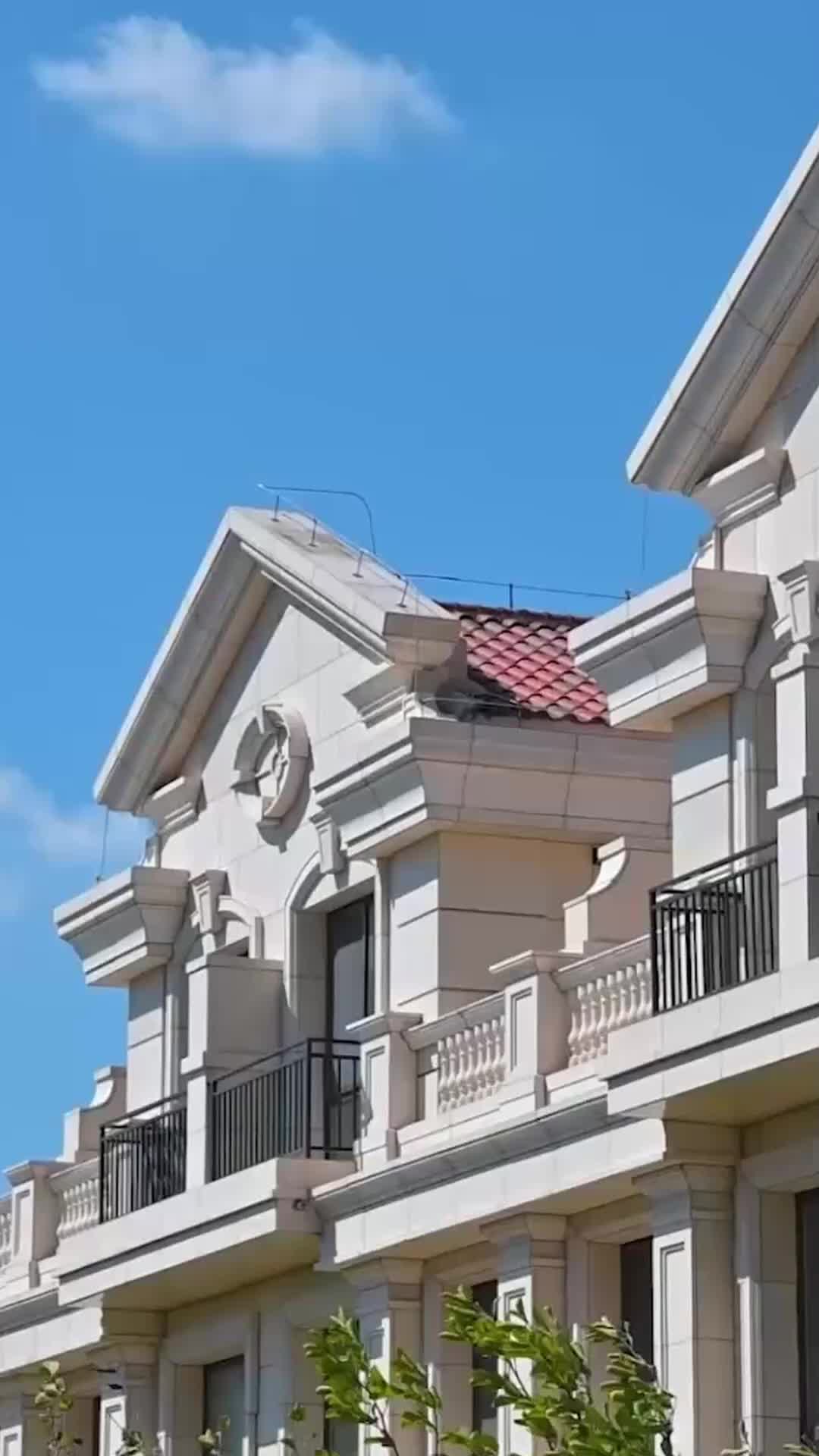 ตอนที่ 56