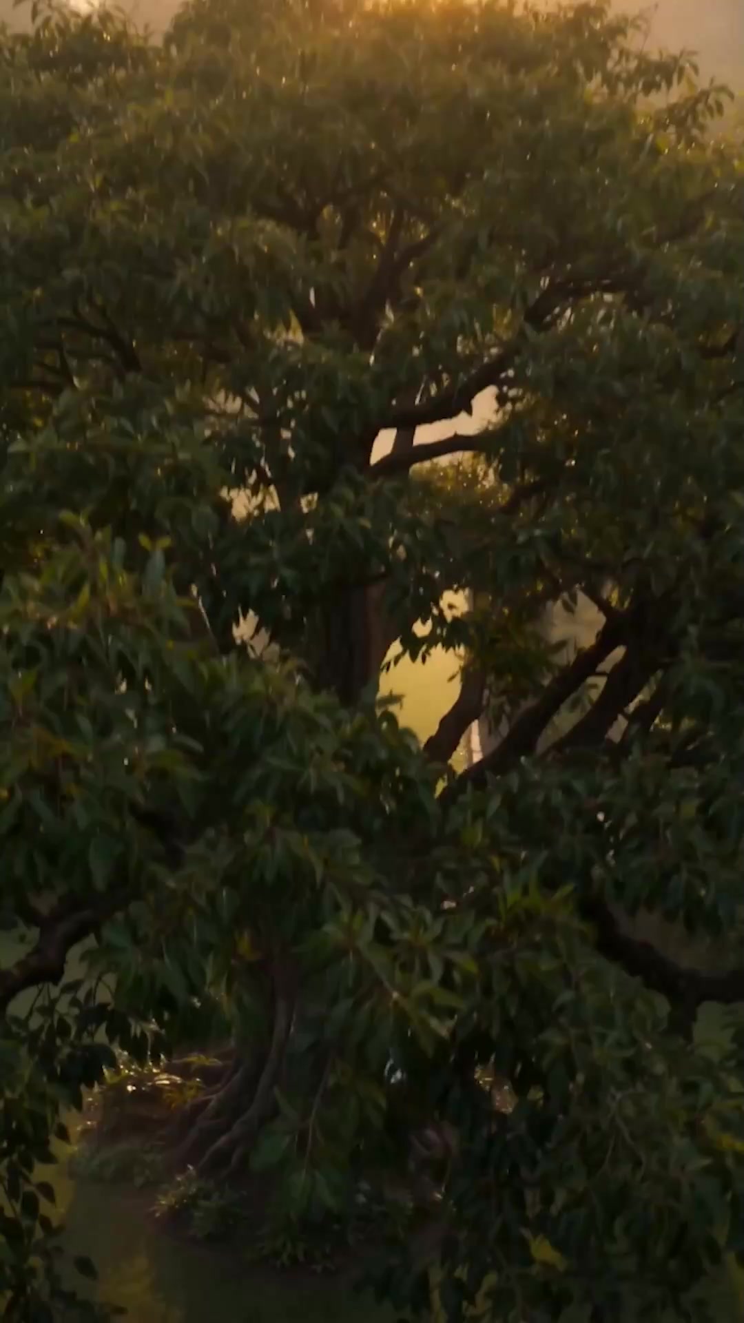 第1集