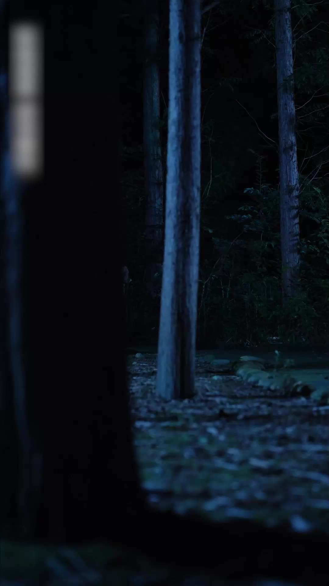 Bimbi Celesti: La Benedizione degli Dei EP.1