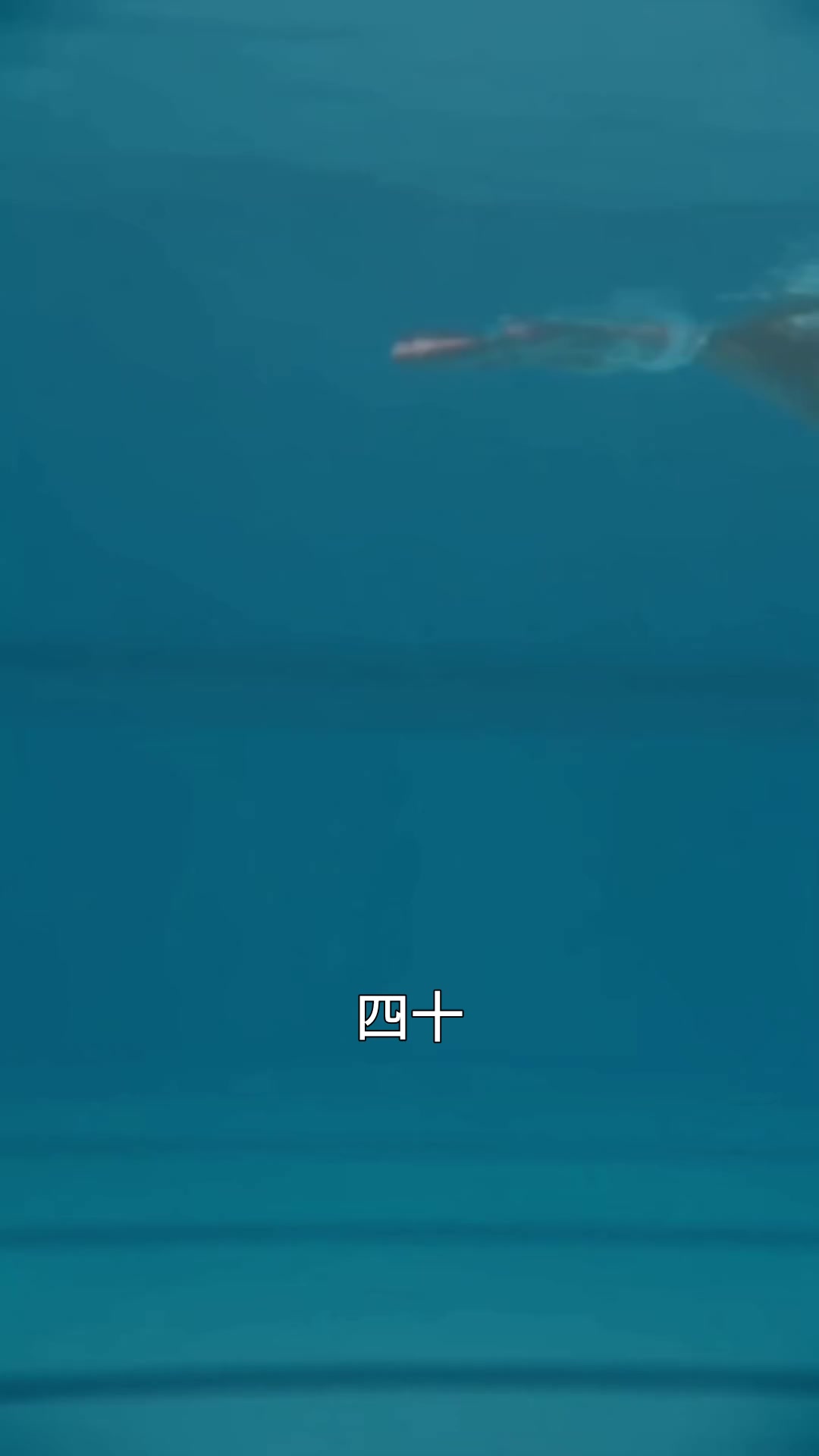 第1集