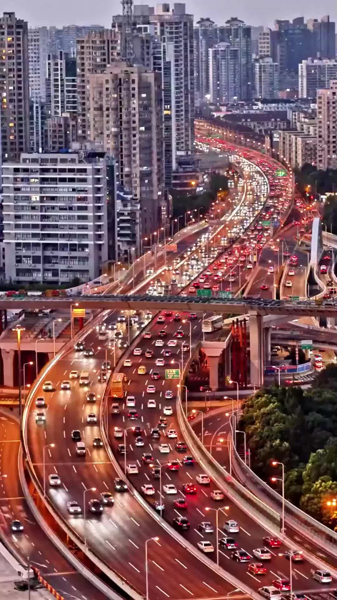 第31集