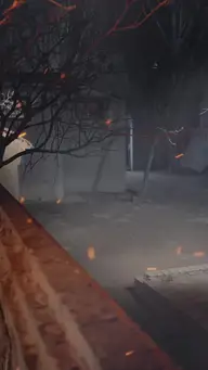 Bintang Keberuntungan EP.56