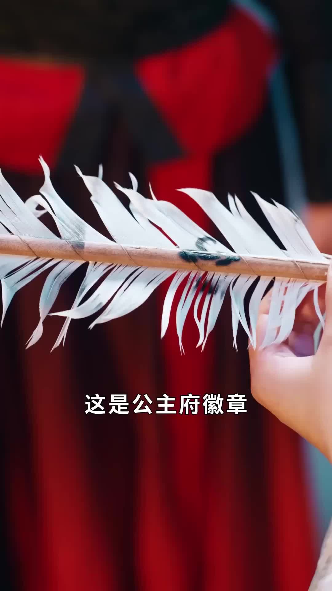 第78集