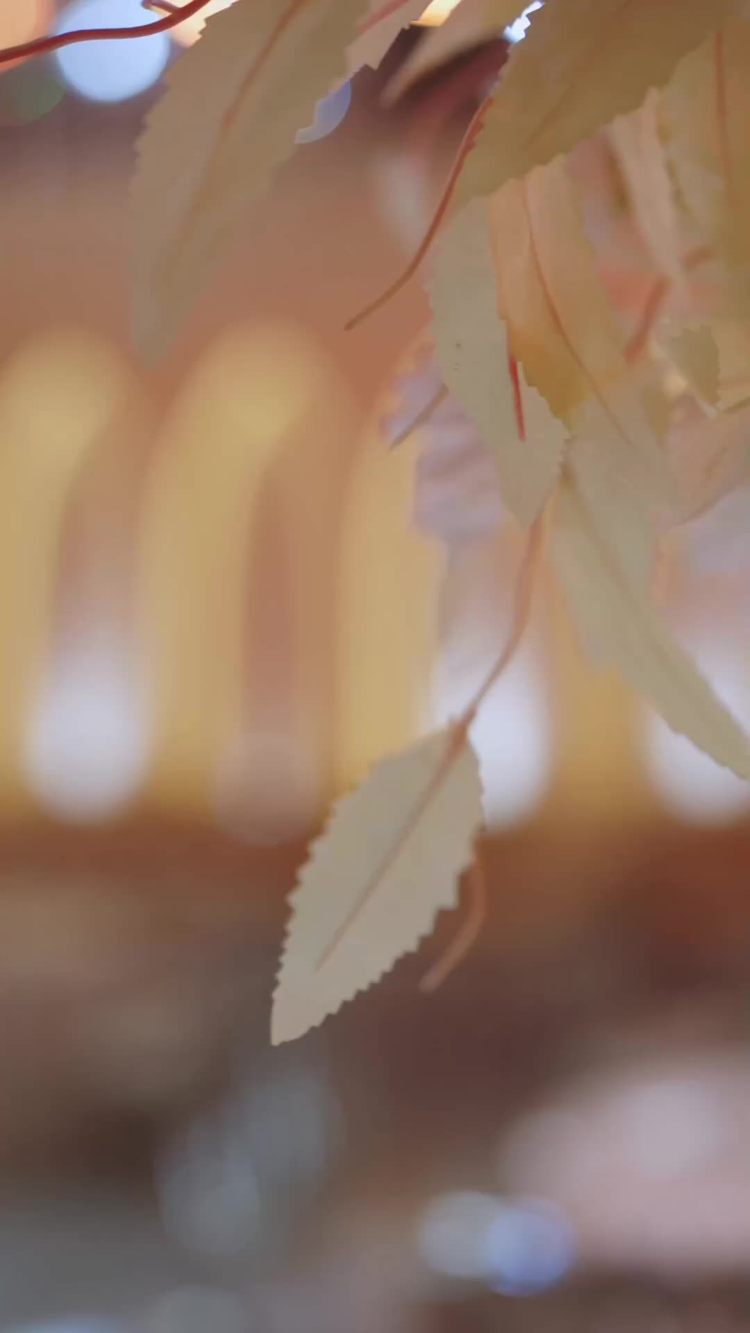 ตอนที่ 12