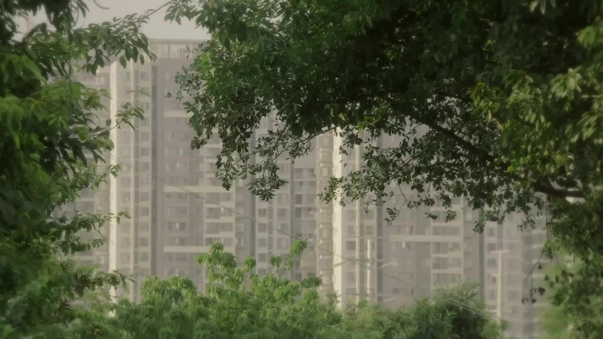 花美男en EP.6