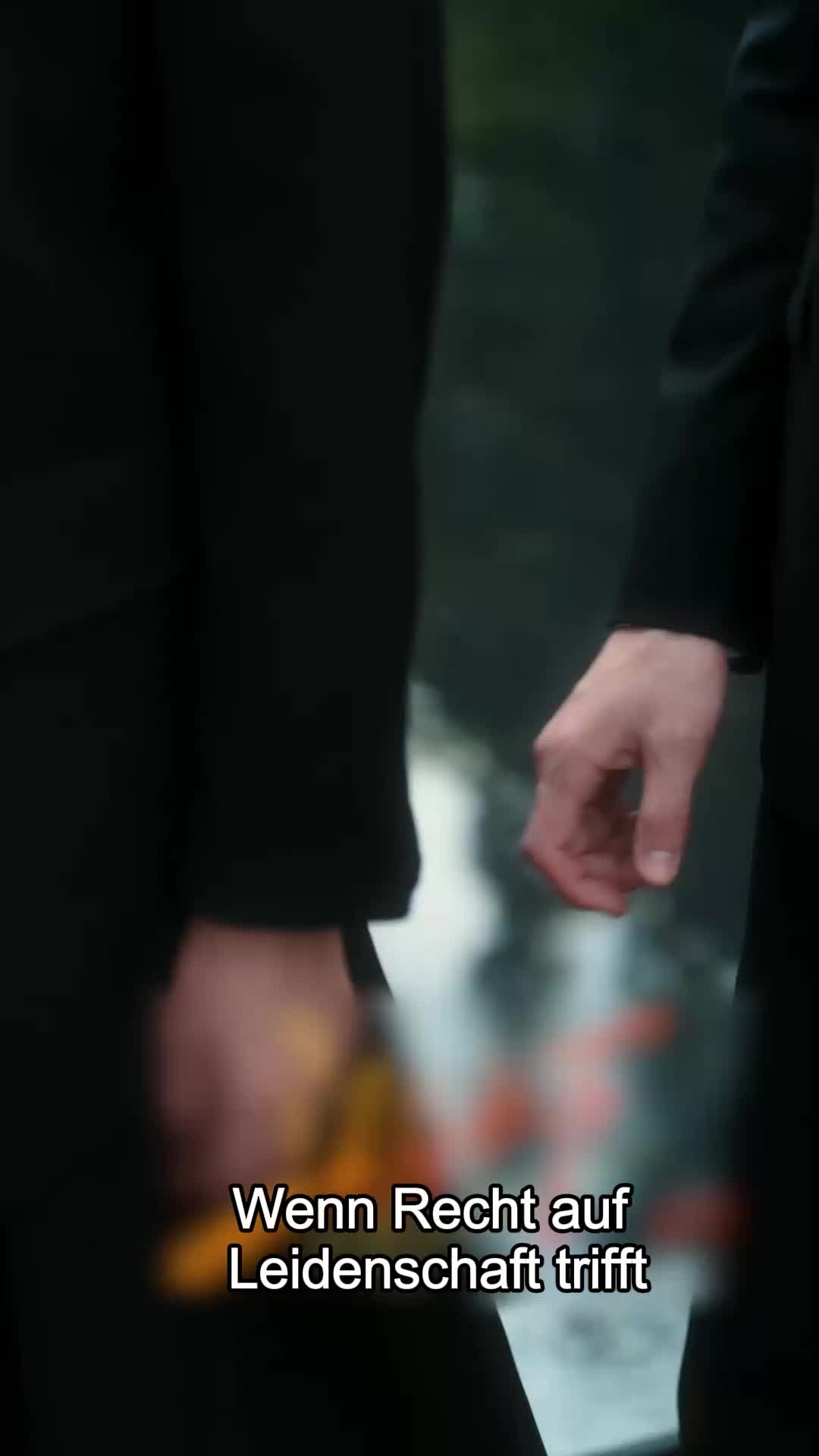 Wenn Recht auf Leidenschaft trifft EP.7