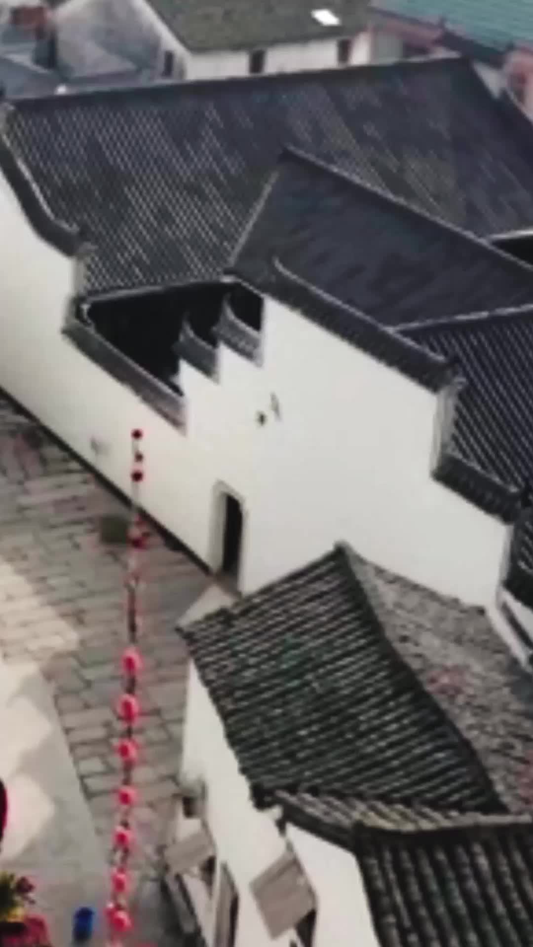 霍总，你的夫人有点野 EP.11