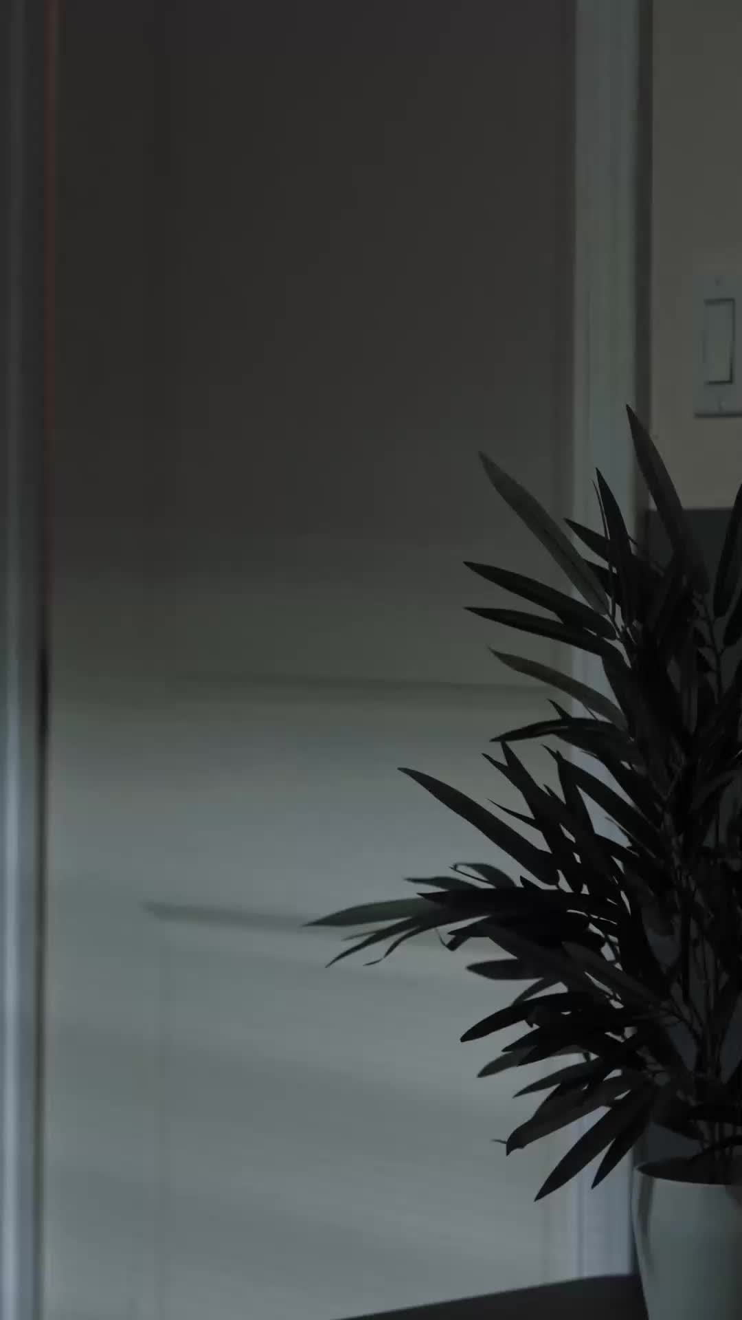 Mimada pelo Meu Marido CEO EP.1