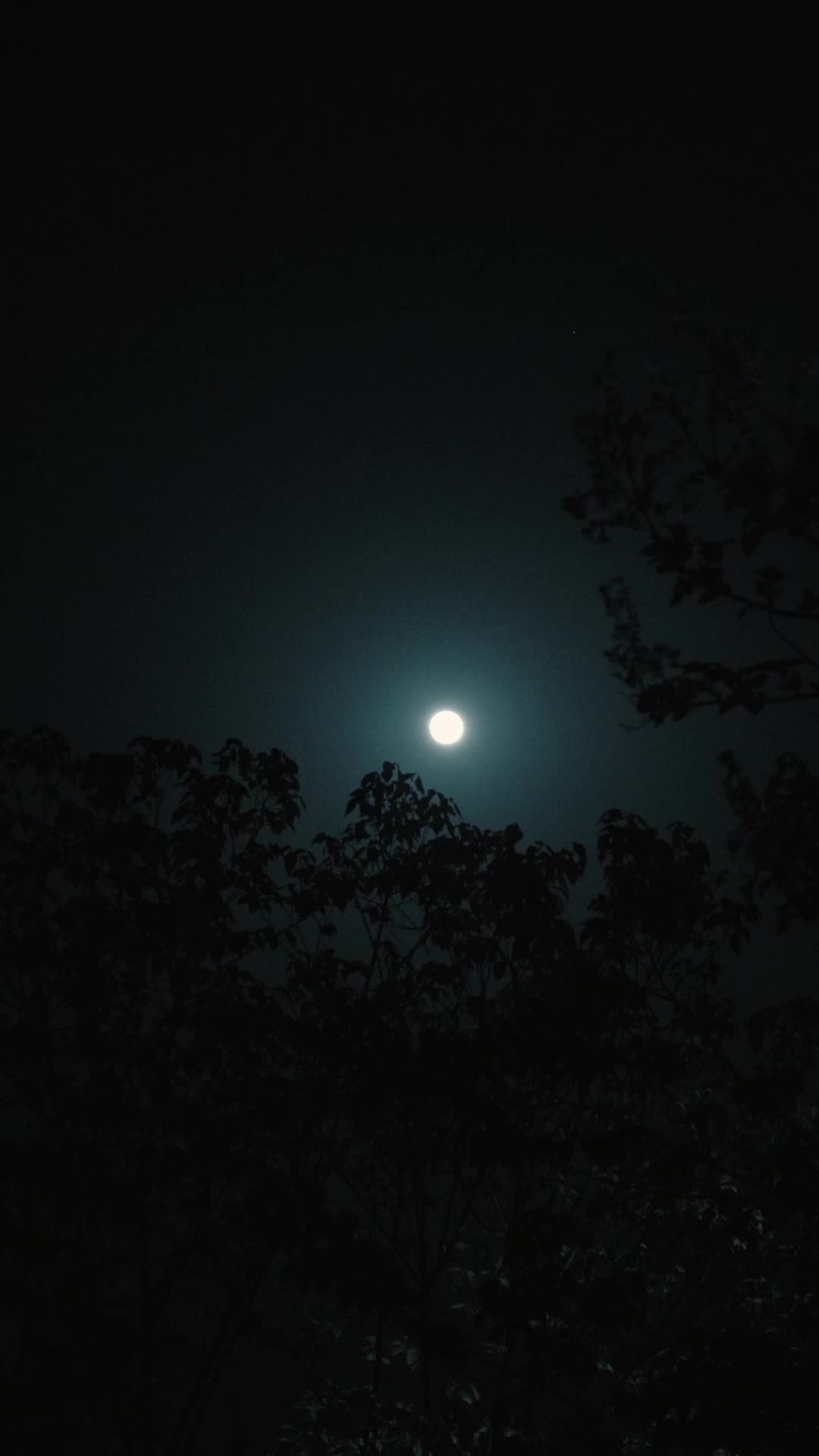 团宠小奶包，我是全皇朝最靓的崽 EP.7