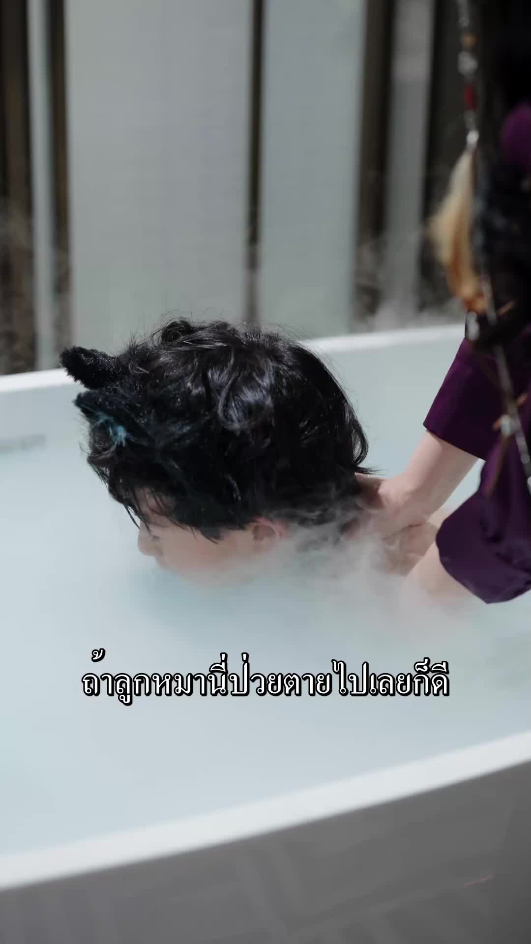 ตอนที่ 20