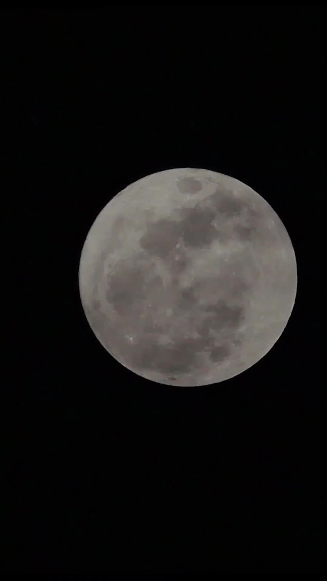 Stitches of Regret: The Mistaken Heartbeat EP.7