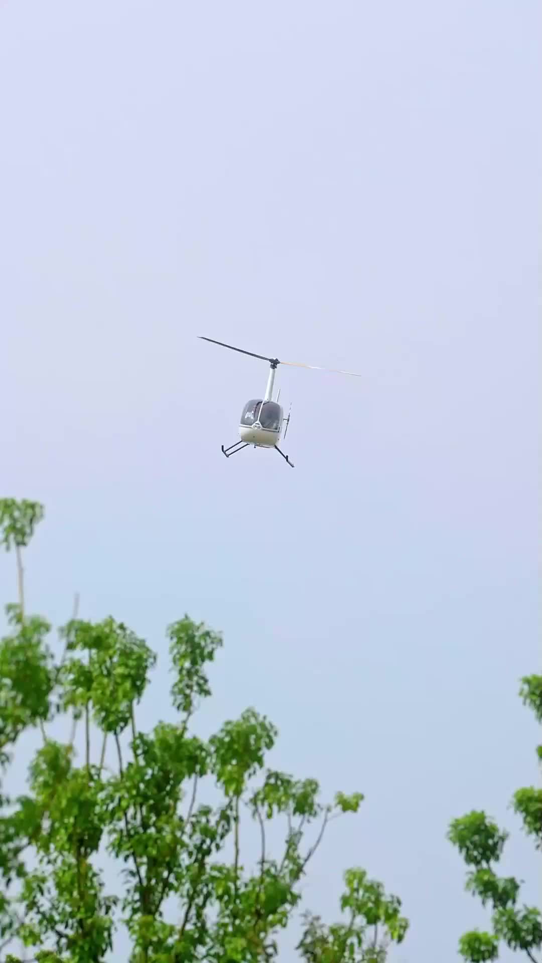 Hired Wife, Hidden Queen EP.1