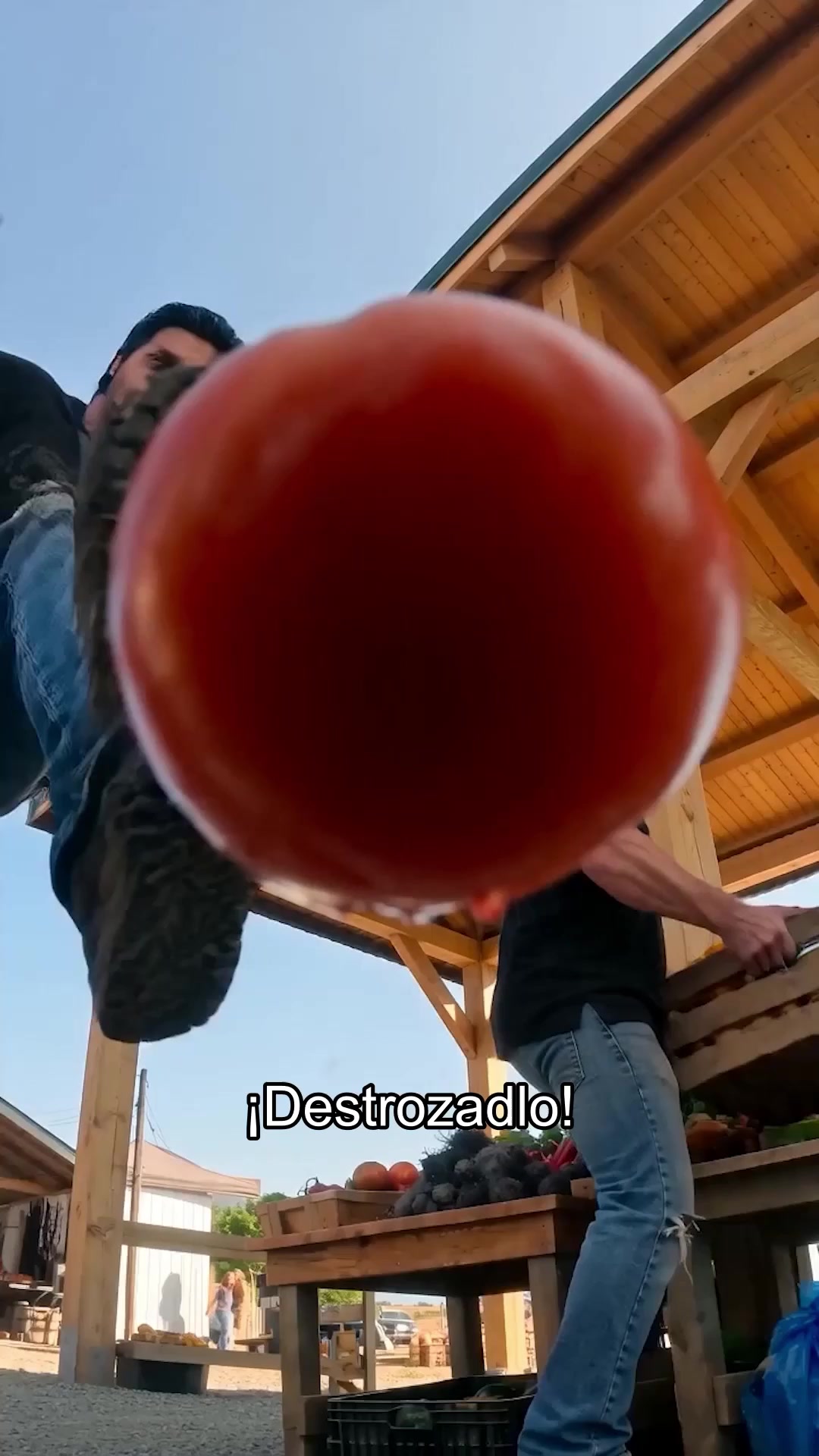 Capítulo 1