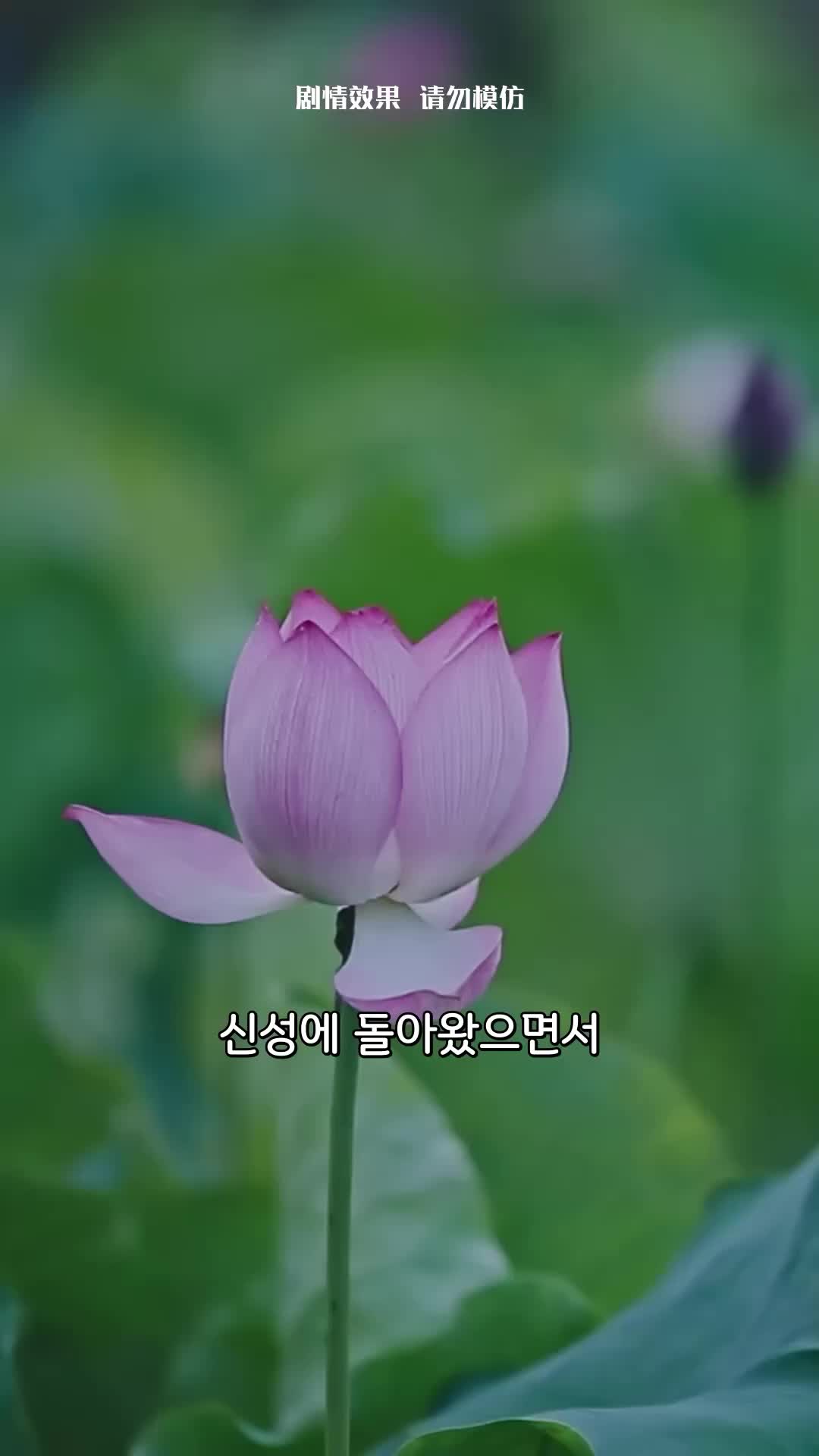 5회