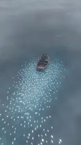 Betrayed at Sea, I Awoke the Sea God's Compass EP.2