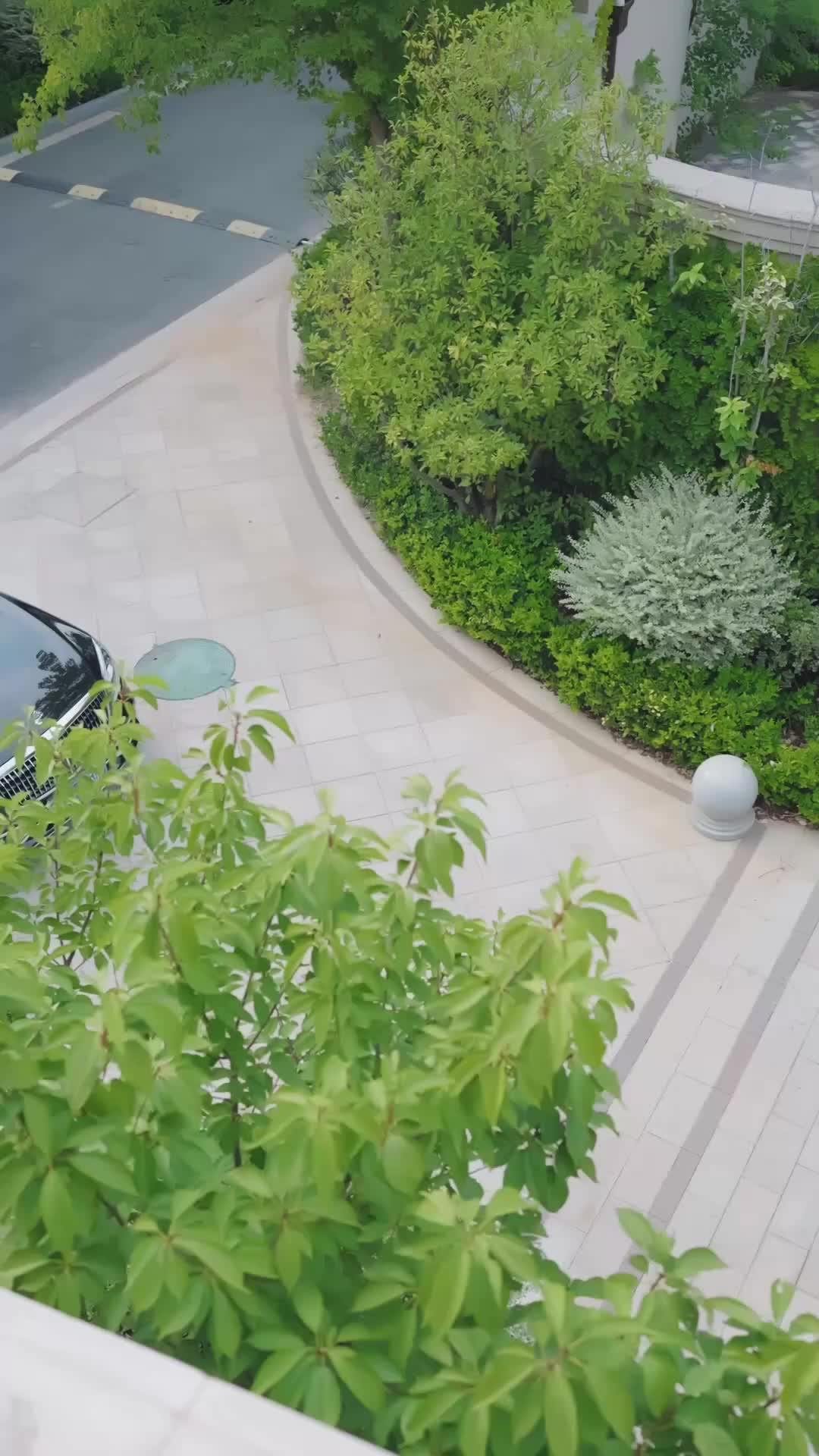 我爸歸來全員罰跪 EP.10