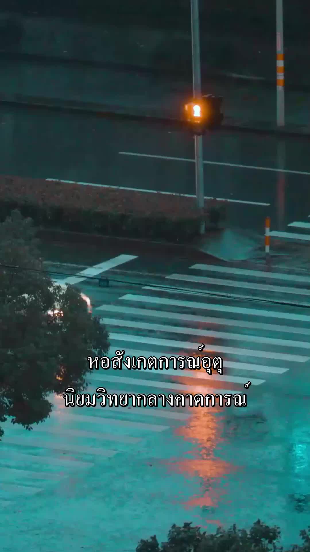 เธอเยาะเย้ยและฉีกภาพครอบครัวทิ้ง EP.1