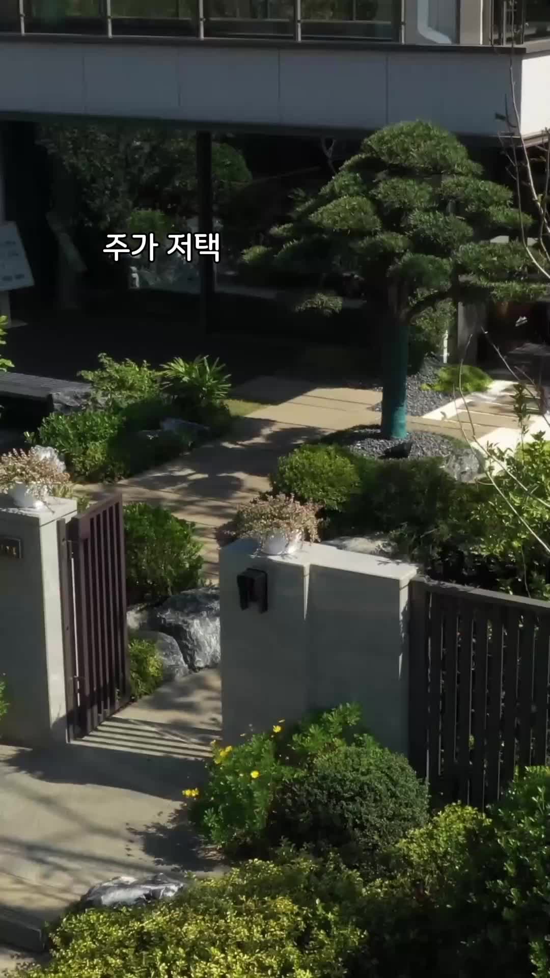 63회