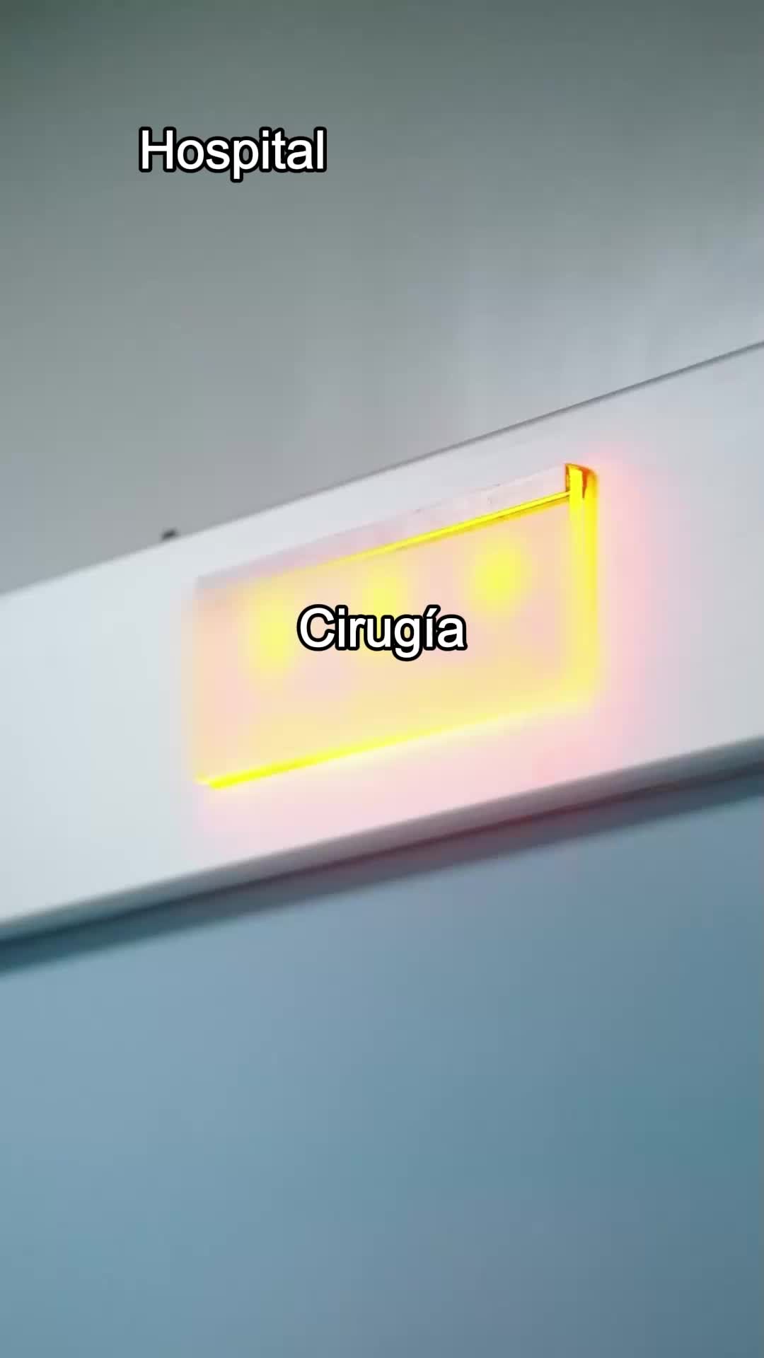 Capítulo 20